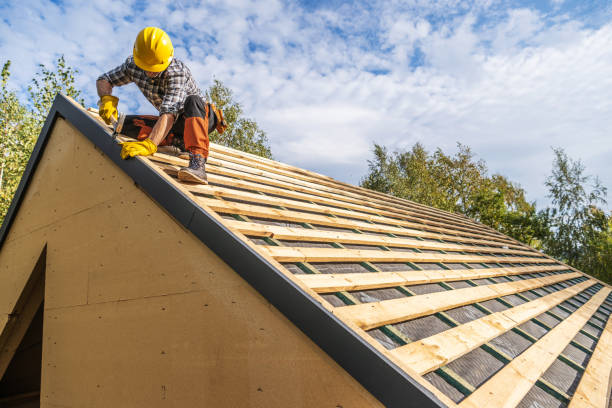 Best Roof Maintenance Services  in Bainbridge, OH