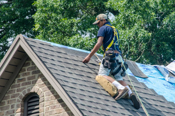 Best Roof Waterproofing Services  in Bainbridge, OH
